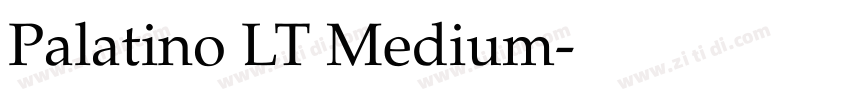 Palatino LT Medium字体转换
